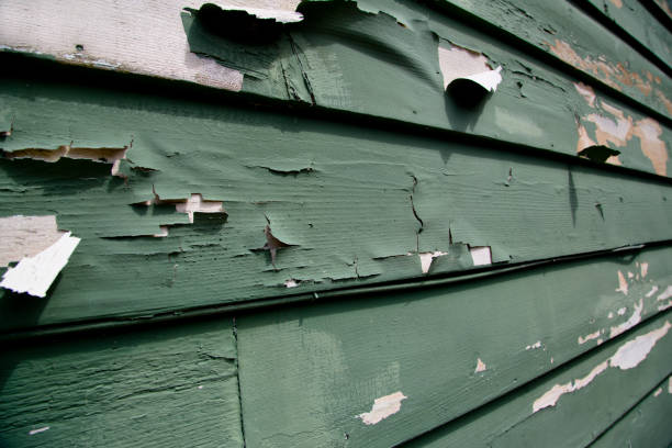 Best Steel Siding Installation  in Corona De Tucson, AZ
