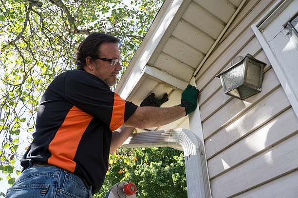 Affordable siding repair and maintenance services in Corona De Tucson, AZ